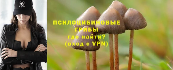 ALPHA PVP Михайлов