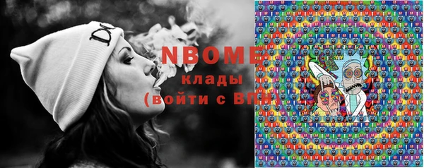 молекула духа Медвежьегорск