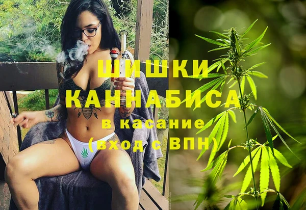 амф Мегион