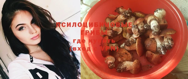 ALPHA PVP Михайлов