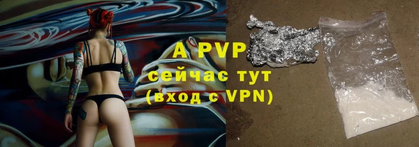 прущие грибы Медногорск