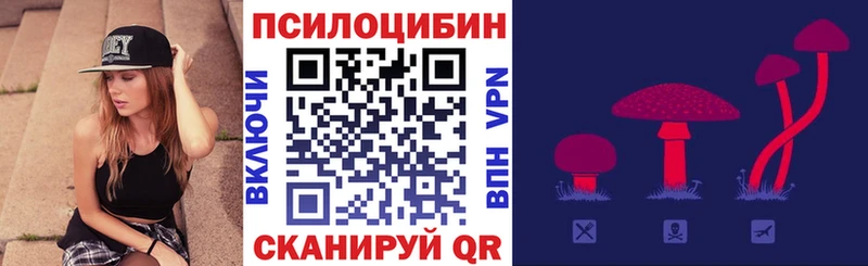 Псилоцибиновые грибы прущие грибы  наркошоп  МЕГА как войти  Почеп 