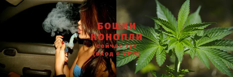 купить наркотик  Почеп  Бошки Шишки THC 21% 